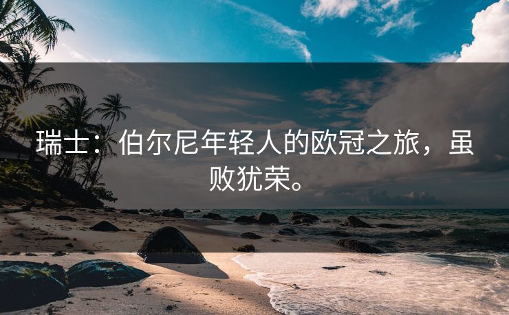 瑞士：伯尔尼年轻人的欧冠之旅，虽败犹荣。
