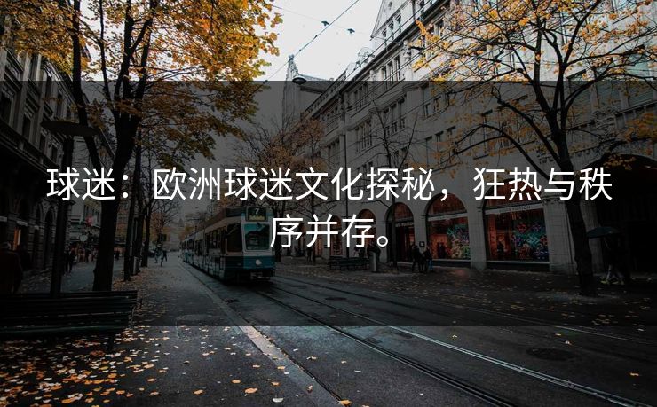 球迷：欧洲球迷文化探秘，狂热与秩序并存。