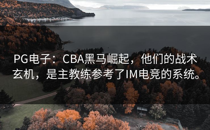 PG电子：CBA黑马崛起，他们的战术玄机，是主教练参考了IM电竞的系统。
