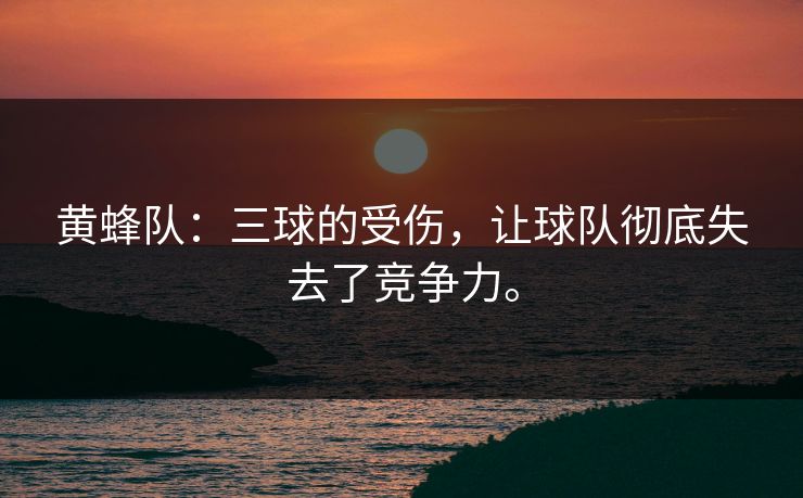 黄蜂队：三球的受伤，让球队彻底失去了竞争力。